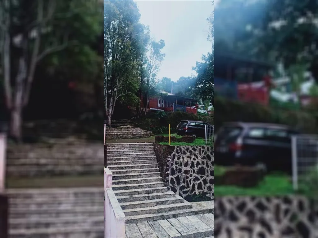 WhatsApp Image 2022-12-17 at 1.53.09 PM.jpg